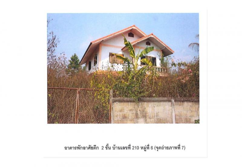 ทุ่งช้าง ทุ่งช้าง น่าน