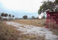 ขาย    ขนาด  ของ ธนาคารอาคารสงเคราะห์